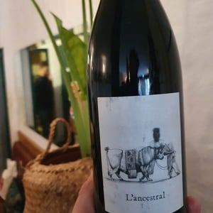 L’Ancestral - Château Lestignac - camille-mathias-marquet