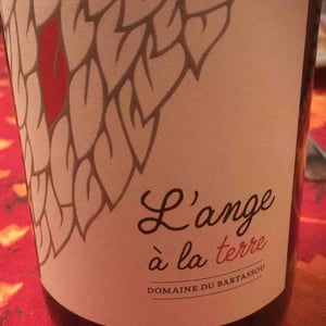 L'ange à la terre - Domaine Du Bartassou - audrey-anthony-vidal -2020