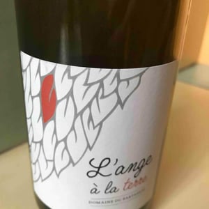 L'ange à la terre