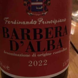 Langhe Nebbiolo - Azienda Agricola Principiano Ferdinando - Ferdinando Principiano 