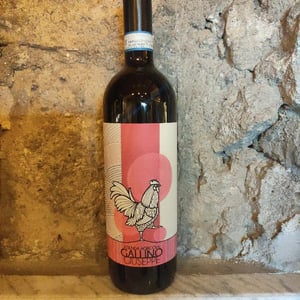Langhe Nebbiolo Gallino giuseppe - Azienda Agricola Gallino Giuseppe - alessandro-gallino