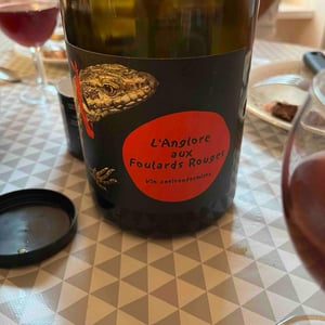 L'Anglore aux Foulards Rouges - Les Foulards Rouges - Jean-Francois Nicq 