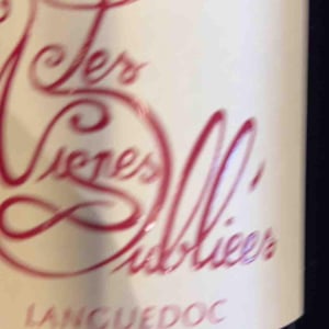 Languedoc - Les Vignes Oubliées - jean-baptiste-granier
