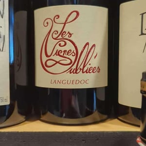 Languedoc - Les Vignes Oubliées - jean-baptiste-granier