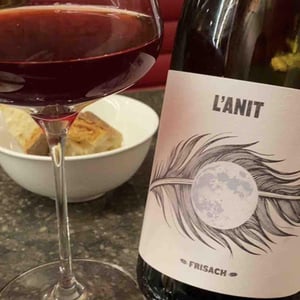 L'Anit - Celler Frisach - Joan & Francesc Ferré -2019