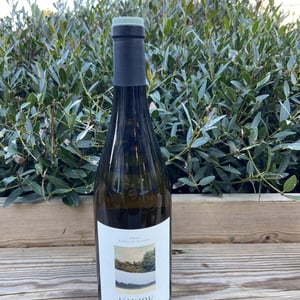 L'Anjou Blanc - Château de Plaisance - vanessa-cherruau