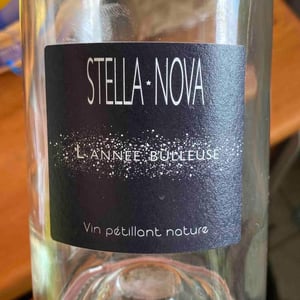 L'année Bulleuse - Stella Nova - Philippe Richy 