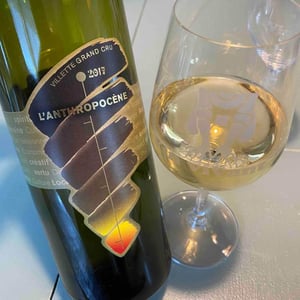 L’Anthropocène - Domaine Piccard - jean-christophe-piccard