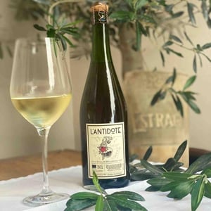 Antidote - Domaine des Grottes - romain-des-grottes -2022