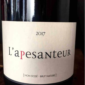 Les Terres Promises - Jean-Christophe Comor - L’Apesanteur