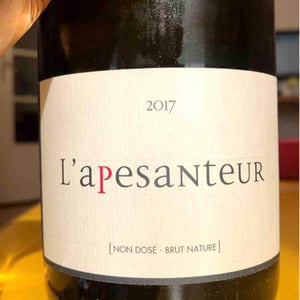 Les Terres Promises - Jean-Christophe Comor - L’Apesanteur
