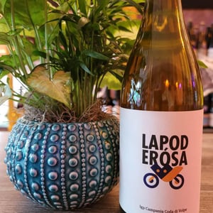 Lapoderosa - Casa Brecceto - casa-brecceto -2020