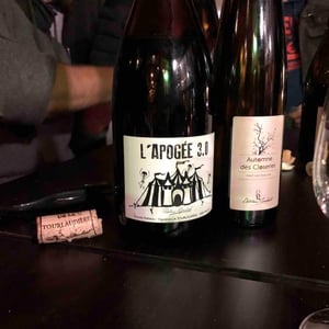 L'apogée 3.0 - Domaine de la Tourlaudière - romain-petiteau -2016