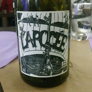 L'apogée 3.0 - Domaine de la Tourlaudière - Romain Petiteau -2016