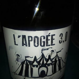 L'apogée 3.0 - Domaine de la Tourlaudière - Romain Petiteau -2016