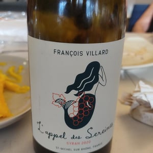 L'Appel des Sereines - François Villard - francois-villard