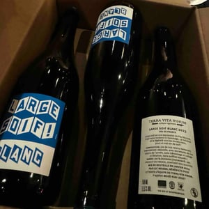 Large Soif Blanc - Terra Vita Vinum - benedicte-luc-briand -2019
