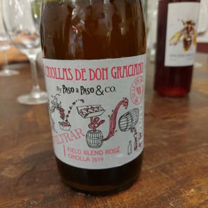 Las Criollas de Don Graciano - Paso a Paso - norberto-paez-e-sebastian-bisole -2019