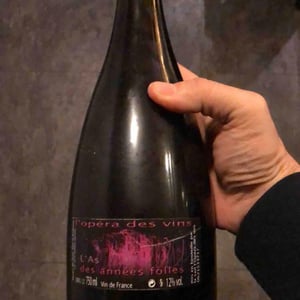 Les Vignes de l'Angevin - Jean-Pierre Robinot - L'As des Années Folles