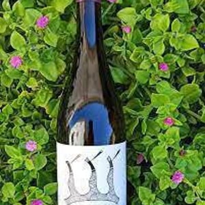 Las Madres - Bodega Punta De Flecha - alejandro-lopez-martin