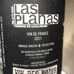 Las Planas - Ronald Joachin - ronald-joachin -2021