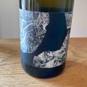 Las Planas X Ronald Joachim - Vin des Potes - basile-passe -2021
