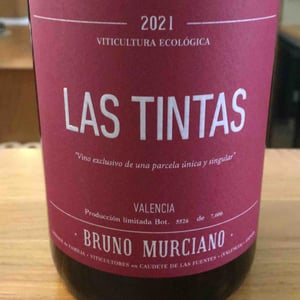 Las tintas - Bruno Murciano - bruno-jose-luis-murciano -2023