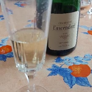 L'Ascendant (Extra-Brut) - Champagne Mouzon Leroux - Sébastien Mouzon