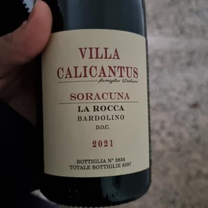 LASSUPERIORA - Villa Calicantus - daniele-e-chiara-delaini