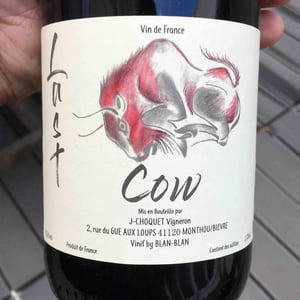 Last Cow - Le Chat Huant - Blandine Floch 