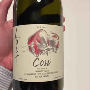 Last Cow - Le Chat Huant - Blandine Floch 