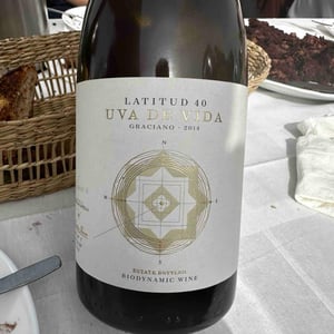 Latitud 40 Crianza - Uva de Vida - Carmen Lopez, Luis Ruiz 