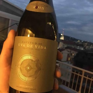 Latitud 40 Crianza 2015