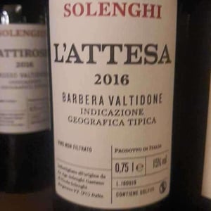 L'attesa - Azienda Agricola Solenghi Gaetano - nicola-solenghi