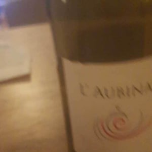 L’Aubinaie - Les Grandes Vignes - laurence-dominique-jean-francois-vaillant