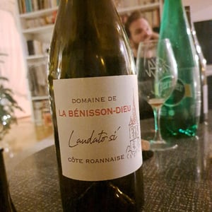 Laudato sì - Domaine de La Bénisson-Dieu - Régis et Aude-Reine Anouil 