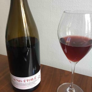 L'Aunis Étoilé - Domaine Deboutbertin - stephanie-vincent-deboutbertin