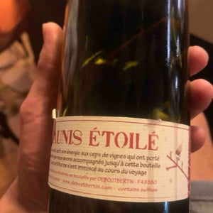 L'Aunis Étoilé - Domaine Deboutbertin - Stéphanie & Vincent Deboutbertin 