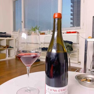 L'Aunis Étoilé - Domaine Deboutbertin - stephanie-vincent-deboutbertin