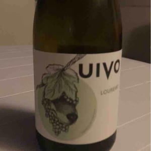 Uivo Loureiro - Folias de Baco - tiago-sampaio -2020