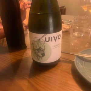 Uivo Loureiro 2019 - Folias de Baco - Tiago Sampaio -2020