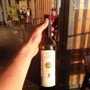 Palmirinha Loureiro - Quinta da Palmirinha - joao-goucho -2015