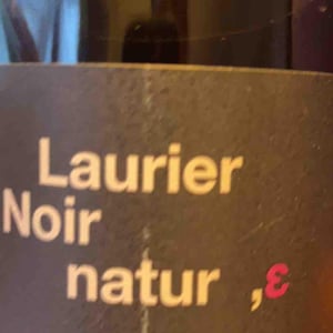 Laurier Noir Nature