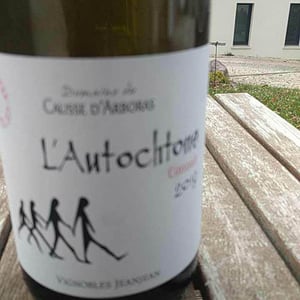 L’autochtone - Terre Nature / Causse d'Arboras - vignobles-jeanjean
