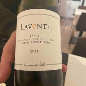 Lavente - Emiliano Fini - emiliano-fini