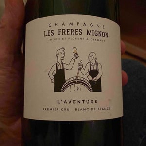 L’aventure - Les Freres Mignon - florent-julien-mignon