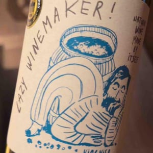 Lazy Winemaker Viognier - Viña Echeverría - Quasar Wines - Roberto, Viviana, Paulina & Diego Echeverría -2022