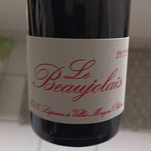 Le Beaujolais - Domaine Marcel Lapierre - Mathieu & Camille Lapierre -2021
