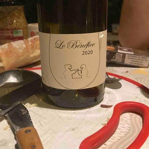 Le Bénéfice - Domaine Thuronis - Vigneron Bien Fêteur - Alexandre Coulange & Astrid Lerouxel -2020