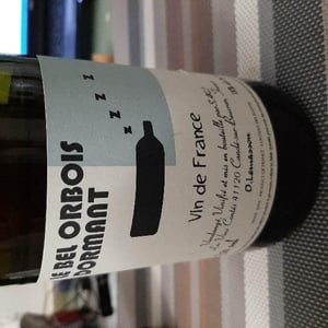 Le Bel Orbois Dormant - Les Vins Contés (CLOSED) - Olivier Lemasson (CLOSED) 